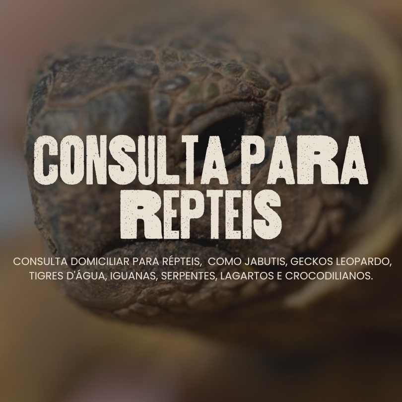 Consulta para Répteis