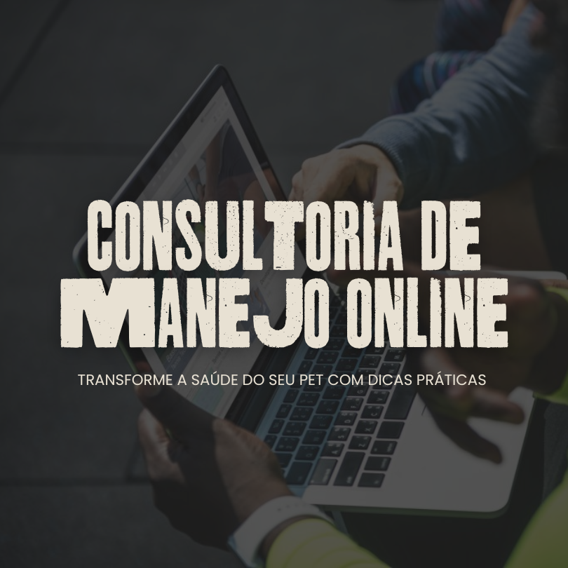 Consultoria de manejo online