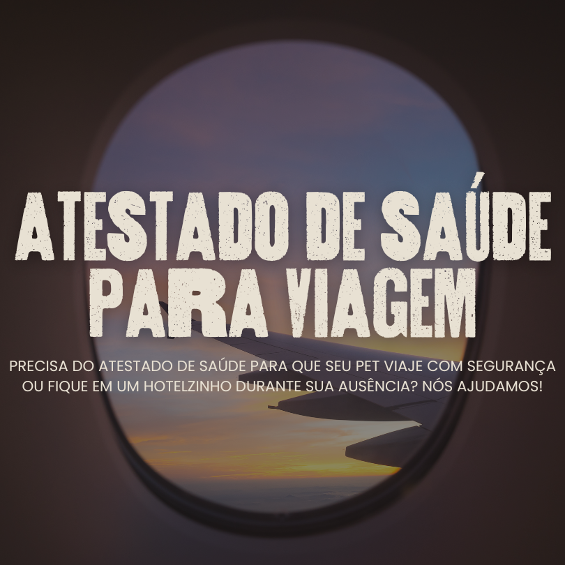 Atestado de Saúde para Viagem Nacional