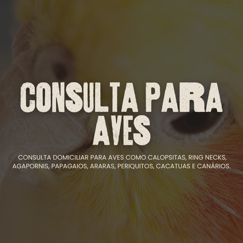 Consulta para Aves