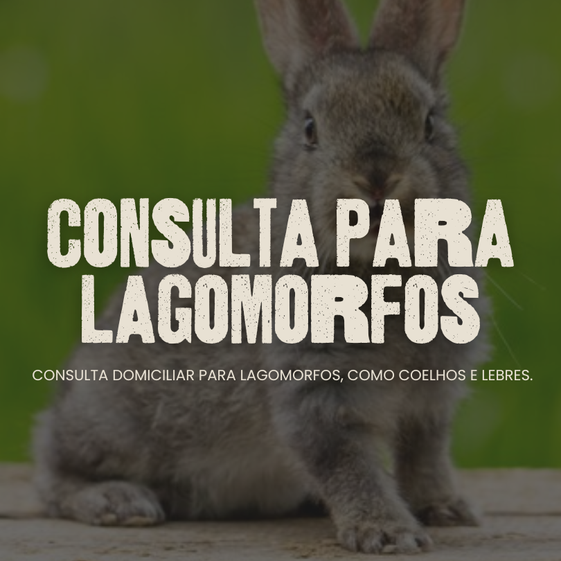 Consulta para Lagomorfos