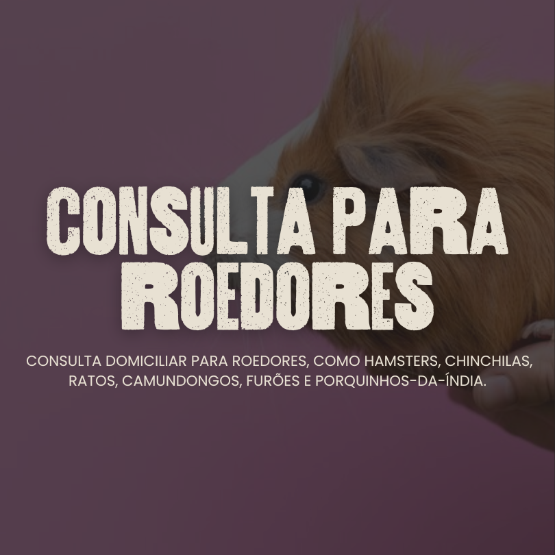 Consulta para Roedores